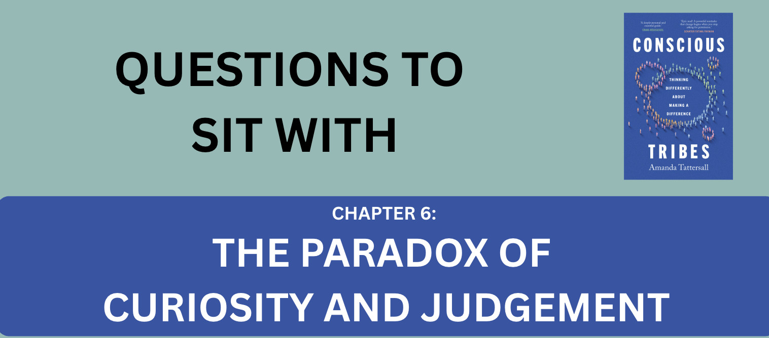 Curiosity and Judgement: Questions to sit with